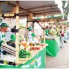 Nova Feira do Produtor Rural traz mais variedades ao município de Divinolândia