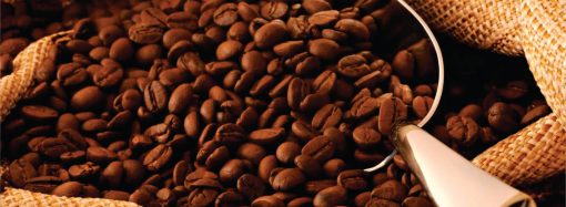 Excesso de produção obriga cafeicultor a cortar despesas