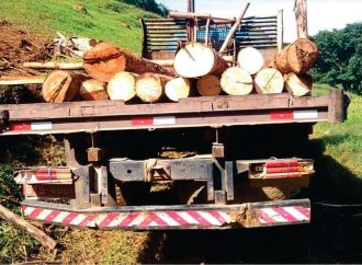 Polícia Ambiental apreende madeira em sítio de Divinolândia