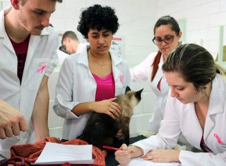 Hospital Veterinário reinicia atendimento em São João da Boa Vista
