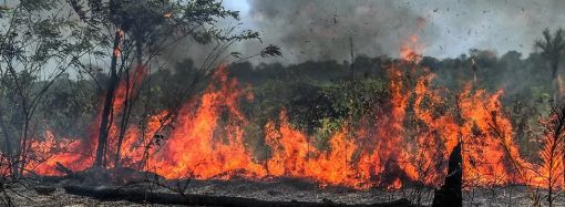 Lei estipula multa de R$ 5 mil para quem provocar queimadas em Divinolândia