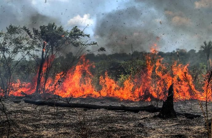Lei estipula multa de R$ 5 mil para quem provocar queimadas em Divinolândia