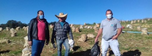 Trabalhadores rurais de Divinolândia recebem máscaras e cartilha contra Covid-19