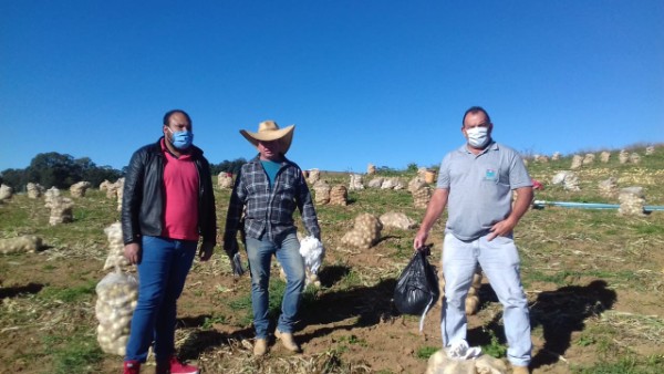 Trabalhadores rurais de Divinolândia recebem máscaras e cartilha contra Covid-19