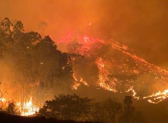 Incêndios deixam rastro de destruição na região