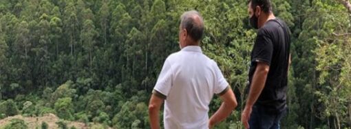 Projeto já plantou 70 mil árvores nativas em São Sebastião da Grama