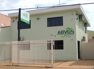 ABVGS: projetando a batata no Brasil e no mundo