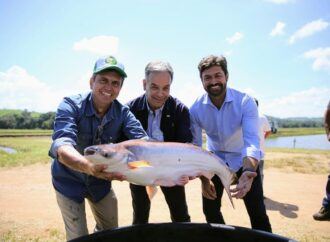 Linha de crédito estimula investimentos na piscicultura