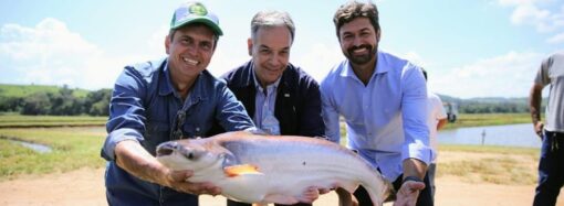 Linha de crédito estimula investimentos na piscicultura