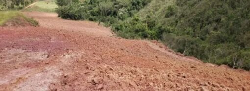 Fazenda é multada em quase R$ 400 mil por desmatamento