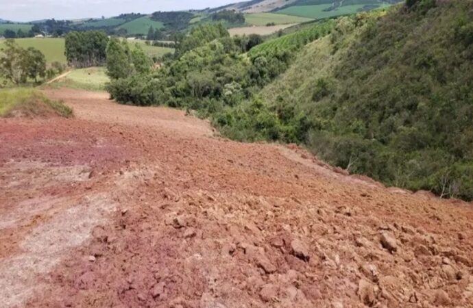 Fazenda é multada em quase R$ 400 mil por desmatamento