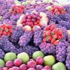 Festas do Circuito das Frutas atraem quase 1 milhão de visitantes