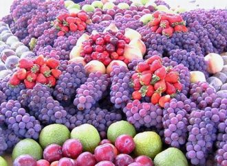 Festas do Circuito das Frutas atraem quase 1 milhão de visitantes