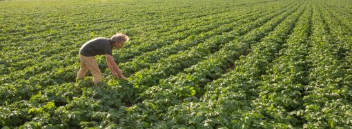 Caminho das Águas conclui atividades com audiência pública em Caconde